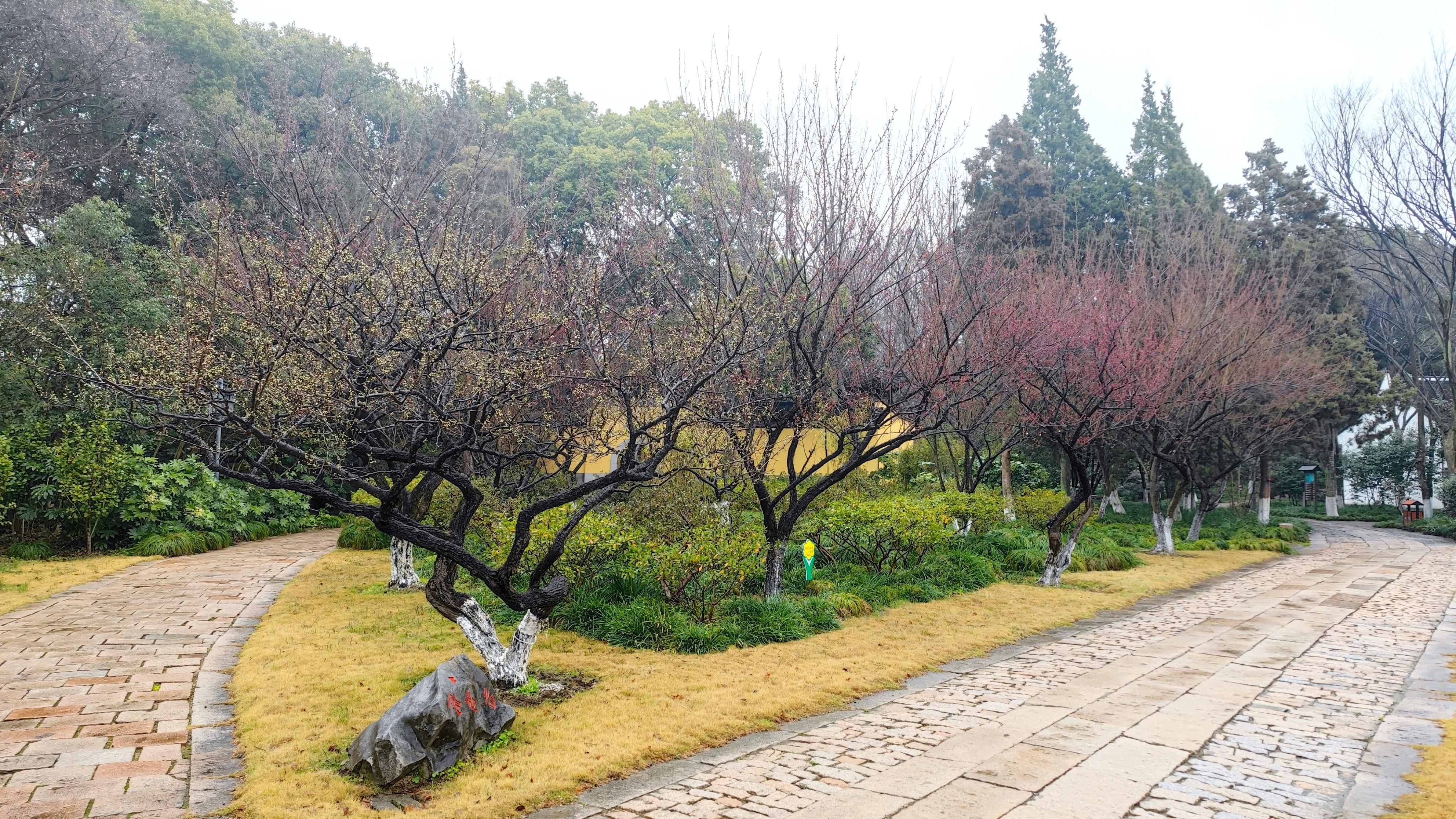 选IMG_5949.JPG